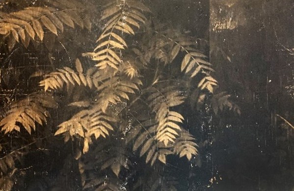 Unable to view the image, Please provide a valid URL.