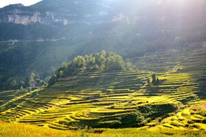 Projetos de bem-estar público impulsionam revitalização rural em Chongqing