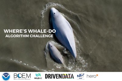 NOAA and BOEM Team Up with DrivenData and HeroX to Offer $35,000 Prize Purse for Winning Solution