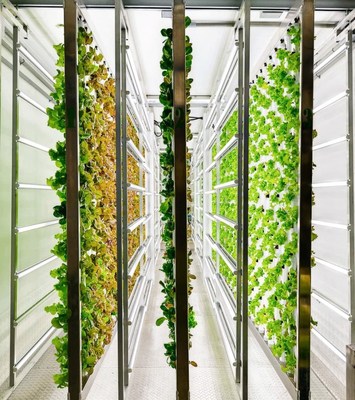 Vertical Farming