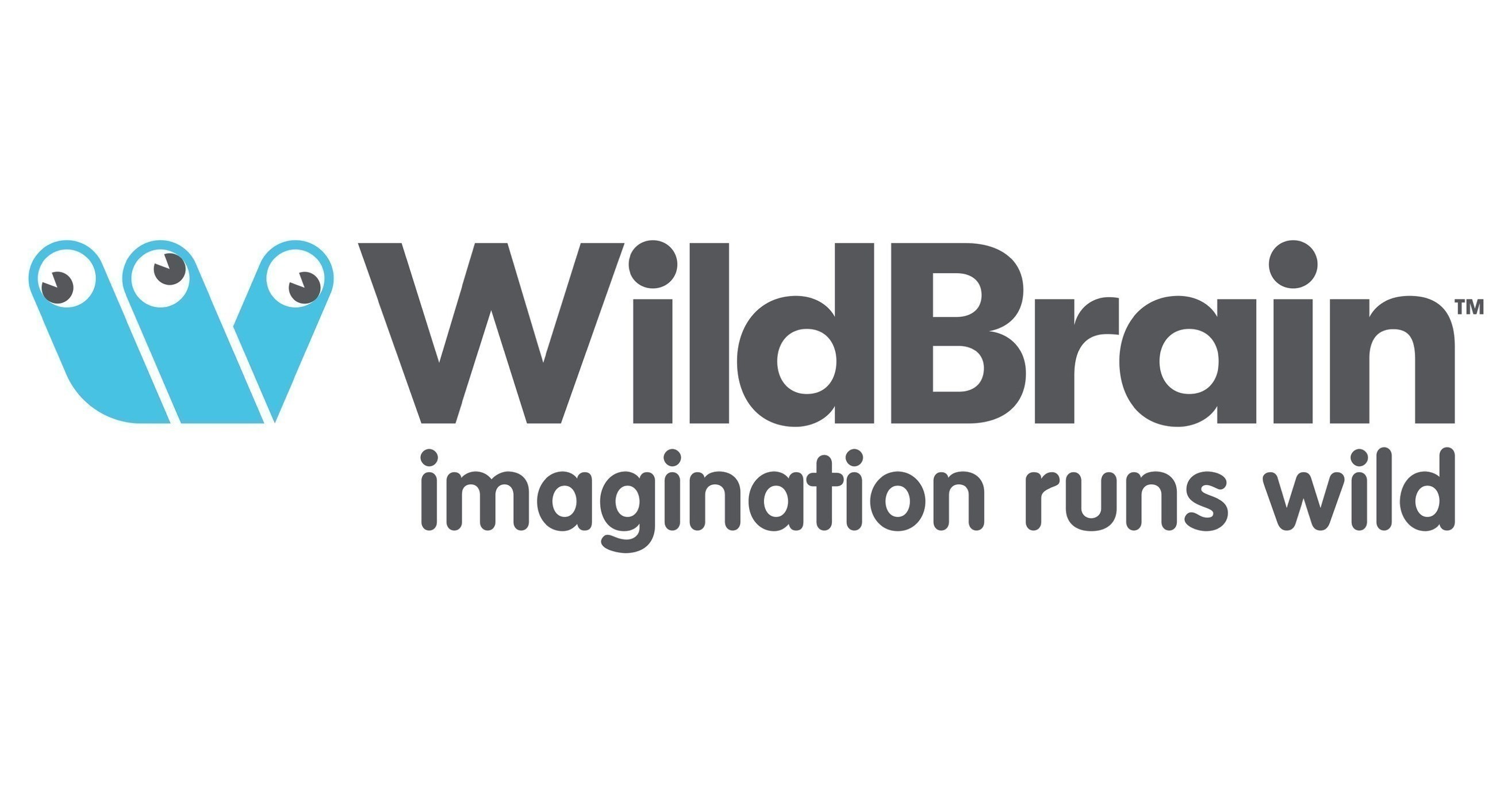 WILDBRAIN APPOINTS NEW DIRECTOR - Vimarsana News