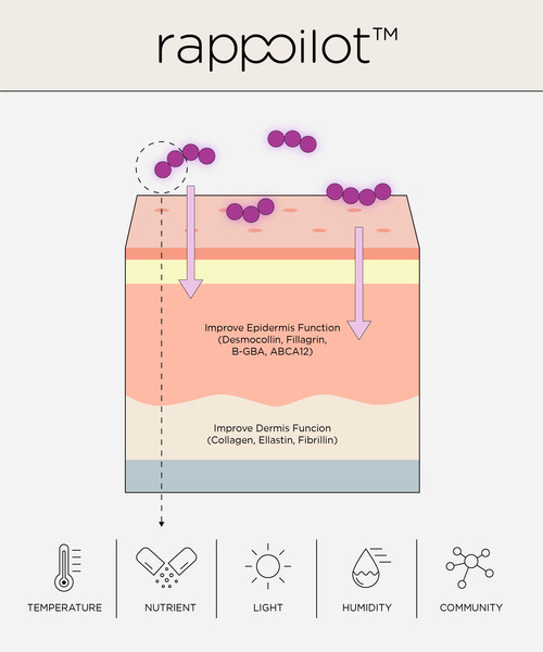 Second-generation skin microbiome Rappoilot™ diagram