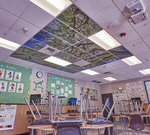 Classroom Tree Ceiling Murals Provide Stress Relief at Cesar Chavez Academy