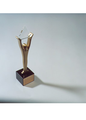 Gold Stevie Award