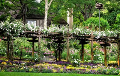 Just below the Manor House a spectacular 100-foot-long arbor displays lush New Dawn blush pink roses. Falling petals create a natural carpet on the ground below. Photos courtesy of Gibbs Gardens.