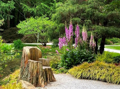 This cozy chair carved from a once-towering tree invites visitors to stop and reflect next to a patch of foxglove