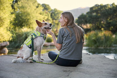 Petco and Backcountry Team Up for Outdoor Pet Gear Collection