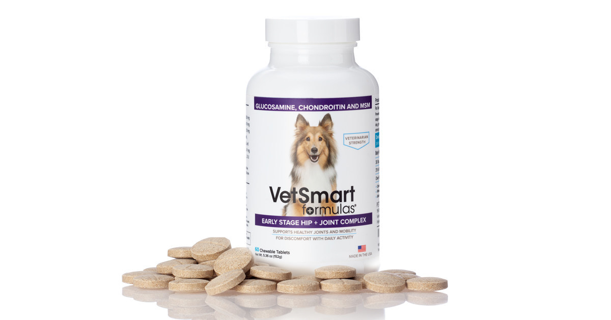 One in Five Adult Dogs Suffer From This Debilitating Disease; Pet Wellness Direct Helps Determine if Your Pet is at Risk - Vimarsana News