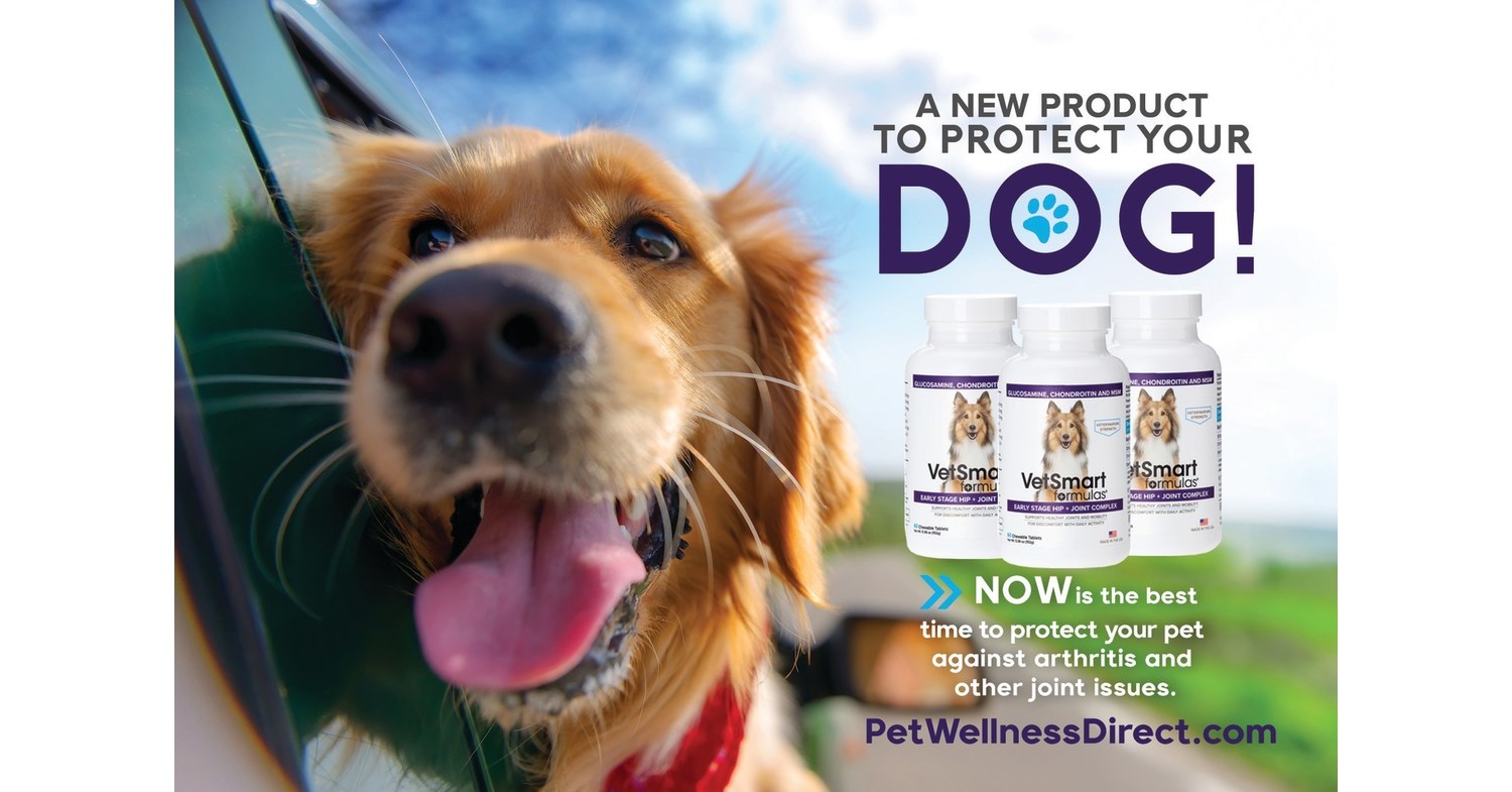 One in Five Adult Dogs Suffer From This Debilitating Disease; Pet