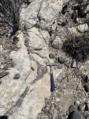 Figure 3. Photo 3a is of a small eudialyte-rich peralkaline dyke or sill intruded into host limestone at the Veladora North area. (CNW Group/Monumental Minerals Corp.)