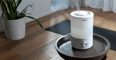 Levoit Awarded on Newsweek's America's Best Home &amp; Garden Brands 2022 List