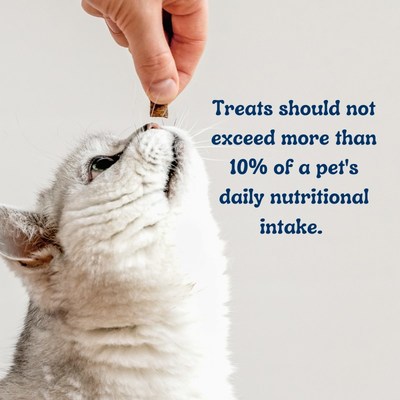 Ninety percent of an animal's recommended daily energy requirement should come from pet food.