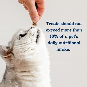 IS YOUR PET PUTTING ON POUNDS? TIME FOR HELP FROM A NUTRITION EXPERT