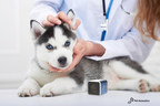 New Biometric Study Proves Pet Acoustics® Canine Music Lessens Stress and Anxiety in Dogs