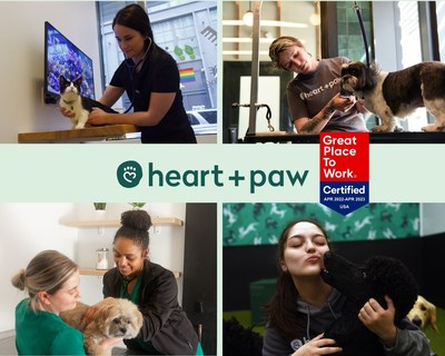 Heart + Paw pet care, one of the fastest growing veterinary care, grooming, and dog daycare center groups in the country, has received both national and local recognition as an 