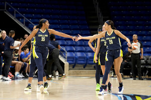 Dallas Wings Score a Slam Dunk with NetSuite