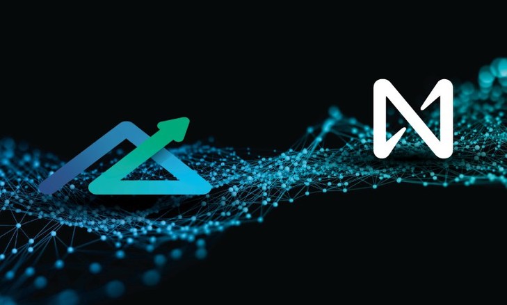 UAE NewTribe Capital to invest 5 million USD in Blockchain NEAR Projects - Vimarsana News