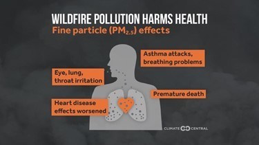 Wildfire Pollution Harms Health