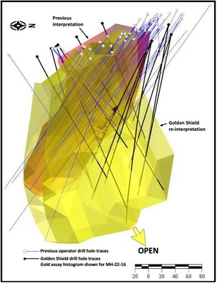 Figure 4. Three-dimensional view showing current and previous interpretations of QMC host rock unit and historic and Golden Shield drill holes. (CNW Group/Golden Shield Resources)