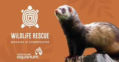 Vancouver Aquarium Exhibit, Wildlife Rescue: Miracles in Conservation (CNW Group/Vancouver Aquarium)