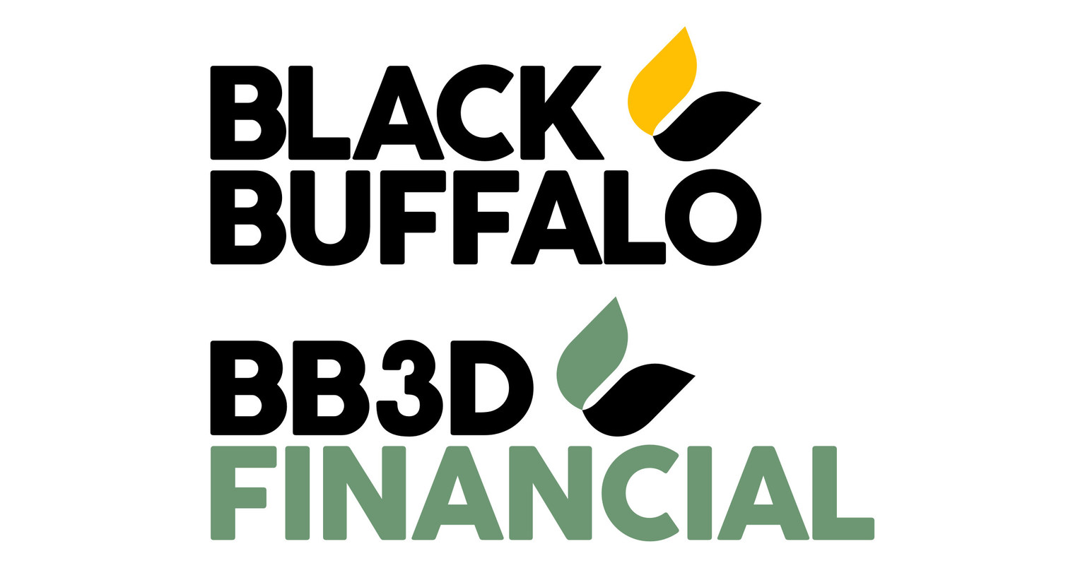 black-buffalo-3d-announces-finance-subsidiary-offering-rental-and