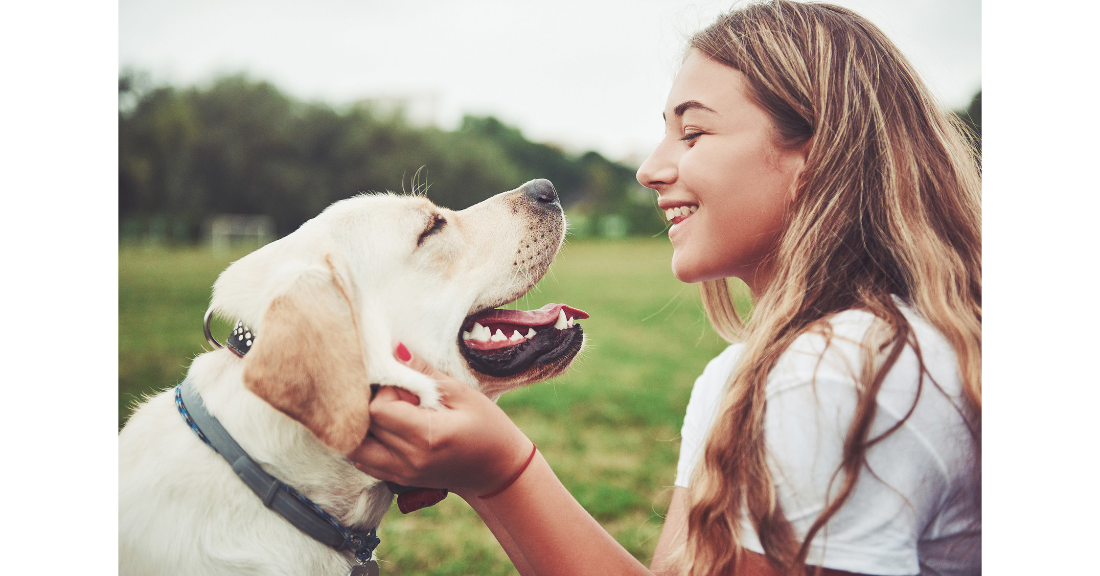 Is walking your dog enough mental stimulation? #dogsupplements #doghealth  #dogsofinstagram #dogs #dog #healthydog #doglovers #pethealth…