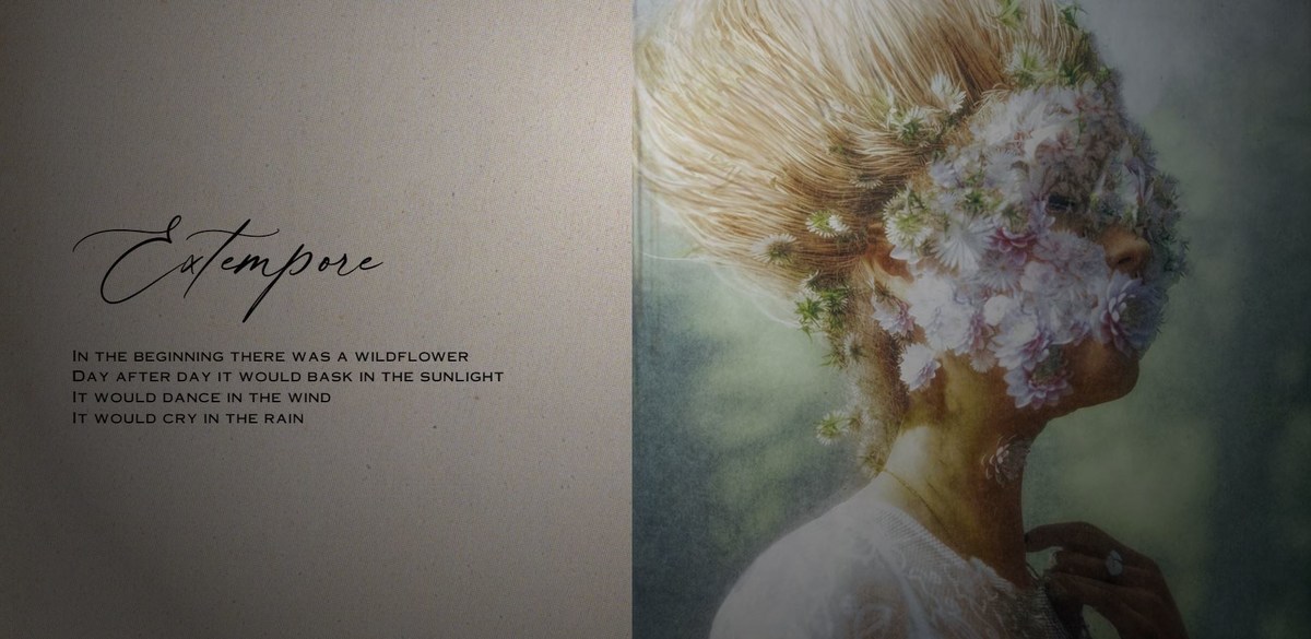 NATHANIEL PARROTT'S 'HOW TO KILL A WILDFLOWER' ADDRESSES THE IMPORTANCE OF MENTAL HEALTH DURING THE WEB3 HYPE - Vimarsana News