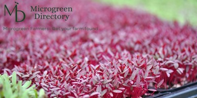 Find your local microgreen farm