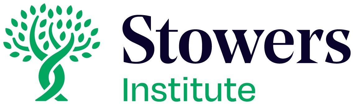 Stowers scientists use cavefish to learn more about metabolism and the evolutionary basis of being a couch potato - Vimarsana News
