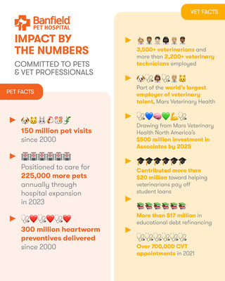 Impact by the numbers