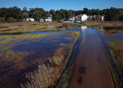 Eight winners of the RISE Rural and Urban Coastal Community Resilience Challenges will receive up to $300,000 to test and validate solutions addressing sea level rise and flooding in coastal Virginia. (Photo by Aileen Devlin/Virginia Sea Grant)