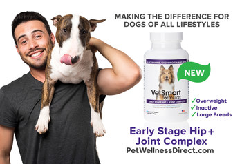If you have a dog that is overweight, inactive, or a large breed, they are more prone to get arthritis at an earlier age. VetSmart Formulas Early Stage Hip + Joint Complex is here to help. This vet-strength supplement will reduce inflammation and pain, allowing your dog to have a happy and active lifestyle.