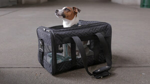 Carry-On Pet Program Available on Amtrak Pacific Surfliner Trains
