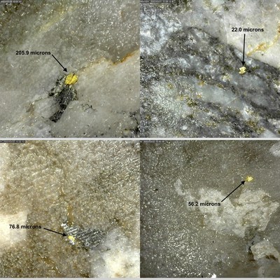 Figure 5: Examples of Visible Gold Observed in DDRCCC-22-023 (Hole 23) (CNW Group/Sitka Gold Corp.)