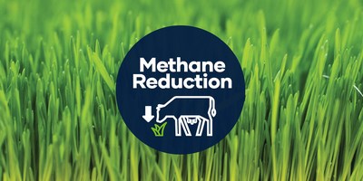 New data shows feeding cows HydroGreen’s fresh forage significantly lowers methane emissions. (CNW Group/CubicFarm Systems Corp.)