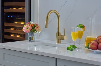 DXV Étre Pull-Down Bar Faucet