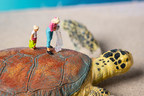 Next Earth startet Wohltätigkeitskampagne mit SEE Turtles; Nutzer können zur Reinigung der Ozeane beitragen und 200.000 USD gewinnen