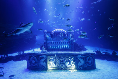 Underwater bar surrounded by sharks and more kinds of marine species