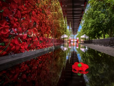 The USAA Poppy Wall of Honor returns to the National Mall in Washington, D.C. this Memorial Day weekend for the first time since 2019. The Poppy Wall of Honor holds 645,000 poppies representing the American servicemembers who gave their lives in service to our nation since World War I.