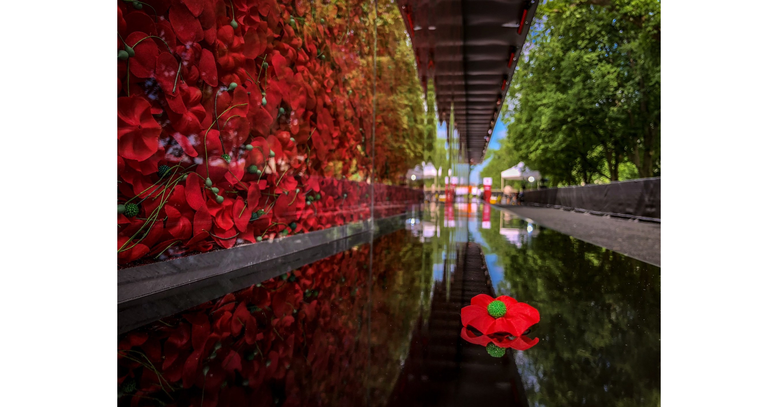 USAA’s Poppy Wall of Honor Heads to National Mall for Memorial Day