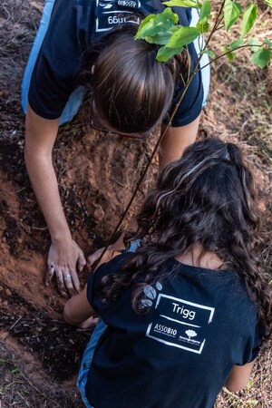 Crédito a favor do meio ambiente: 3100 mudas são plantadas pela Trigg com doação de cashback