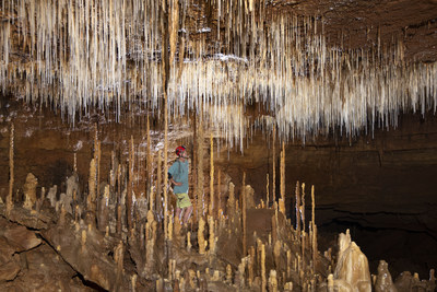 New Cave Discovered That Could Connect to Natural Bridge Caverns