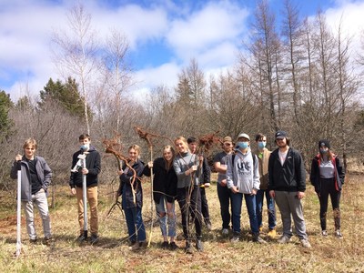 Charlottetown Rural High School students removing glossy buckthorn, an invasive plant. (CNW Group/DUCKS UNLIMITED CANADA)