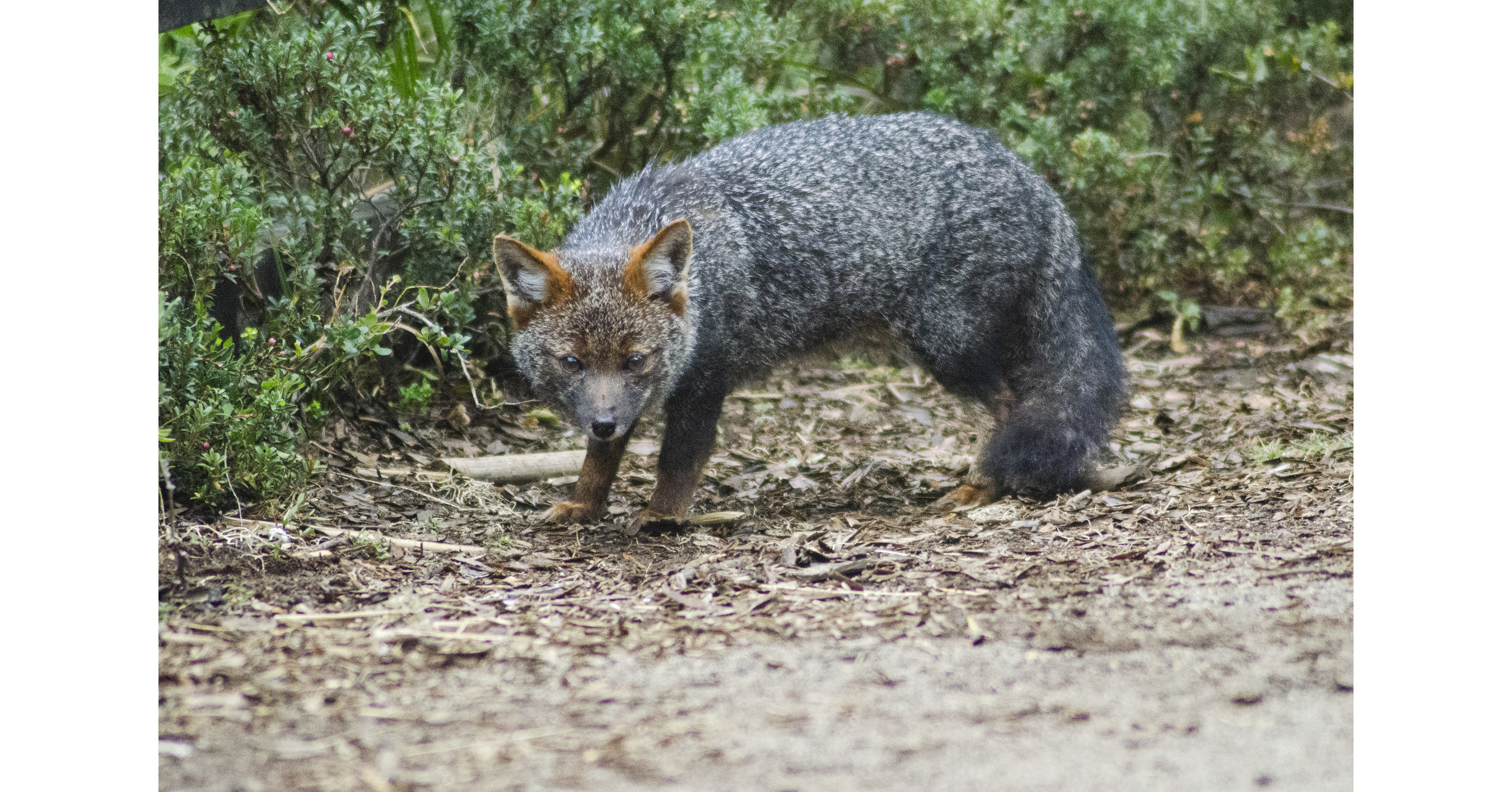 Tecnolog&iacute;a para un planeta mejor: &iquest;la tecnolog&iacute;a puede proteger nuestro hogar?