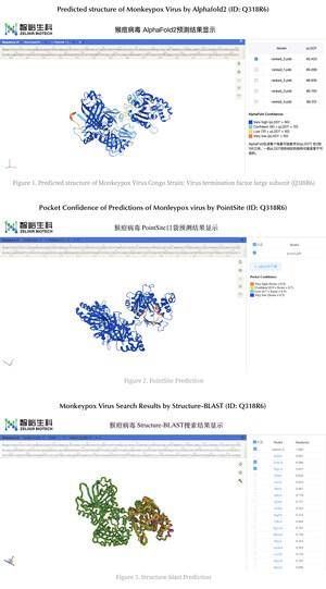 The Global Fight Against Monkeypox: Zelixir Biotech Predicts Monkeypox Protein Structures