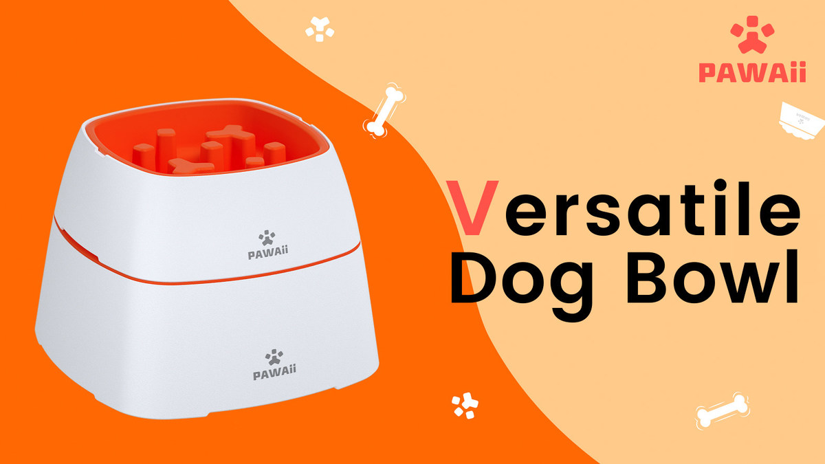 PAWAii Launched Versatile Dog Bowl - Vimarsana News