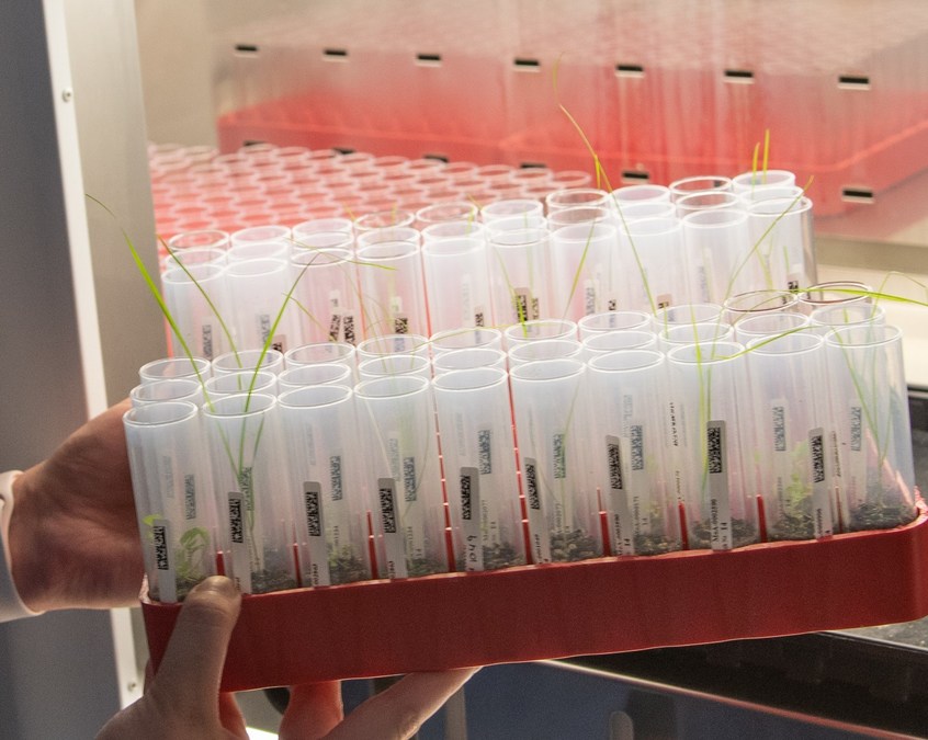 moa raises $44 Million in Series B Financing to Progress a New Generation of Safe and Sustainable Crop Protection Products - Vimarsana News