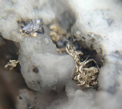 Image 1. Coarse wire-form electrum in Las Peña vein in Las Maras target. Drillhole DH239. (CNW Group/Outcrop Silver & Gold Corporation)