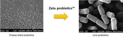 Zeta probiotics(TM) : Probiotics cell recovery