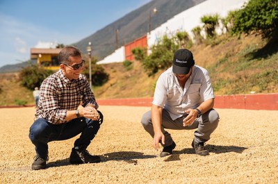 Enveritas inspecting drying green coffee on a farm in Guatemala. Peet's Coffee confirms that 100% of coffee purchases are Responsibly Sourced per Enveritas standards.